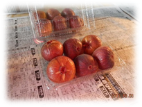 ����25�_���|�ʐ^1 017.jpg